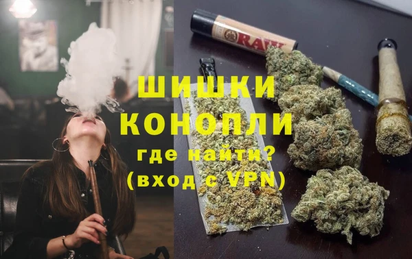 мдпв Волоколамск