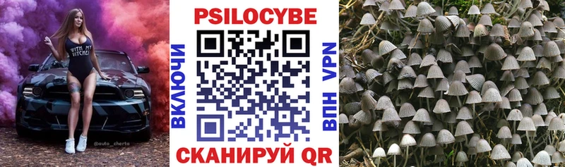 Галлюциногенные грибы Magic Shrooms  Чаплыгин 