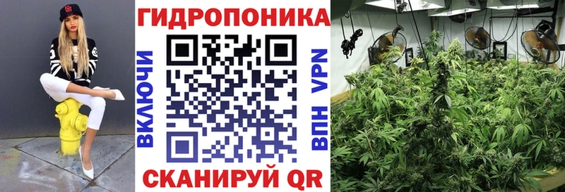 где продают наркотики  Чаплыгин  МАРИХУАНА сатива 